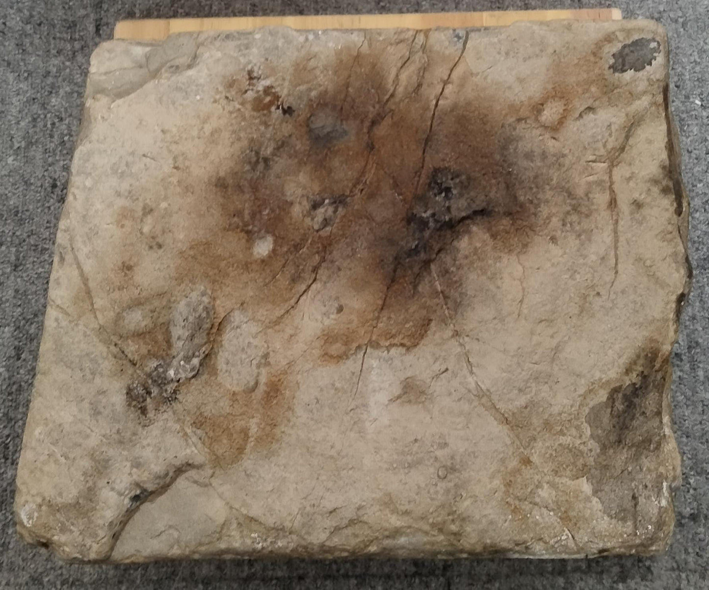 Natural Whetstone Tamba Kōzaki 41kg | Made in Japan, Kyoto, Shohonyama