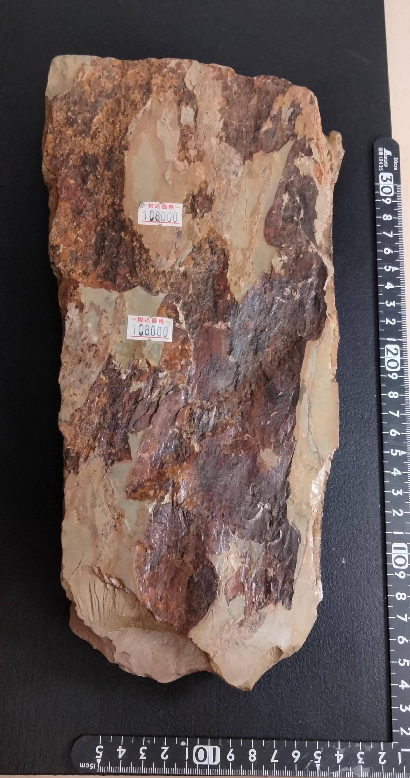 Natural Whetstone Ōhira Akapin 2636g | Made in Japan, Kyoto, Shohonyama